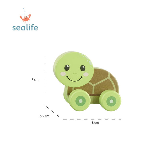 Turtle First Push Toy