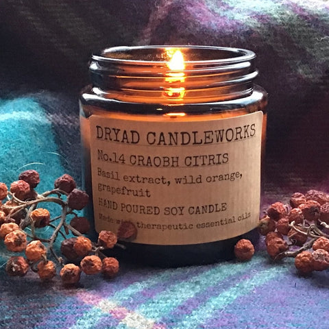 Craobh Citrus Candle Jar 120ml