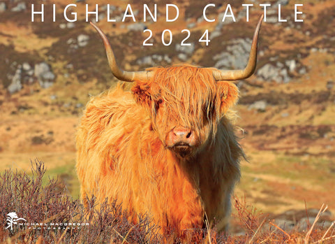 Michael MacGregor 2024 Highland Cattle Wall Calendar