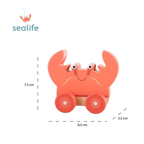 Crab First Push Toy