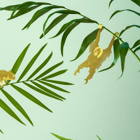 Orangutan Brass Plant Animal