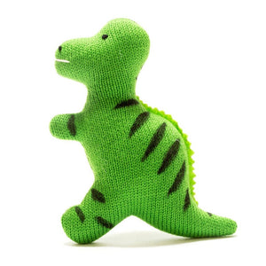 Baby T Rex Sensory Toy
