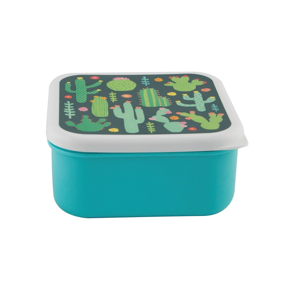Colourful Catcus Lunch Box