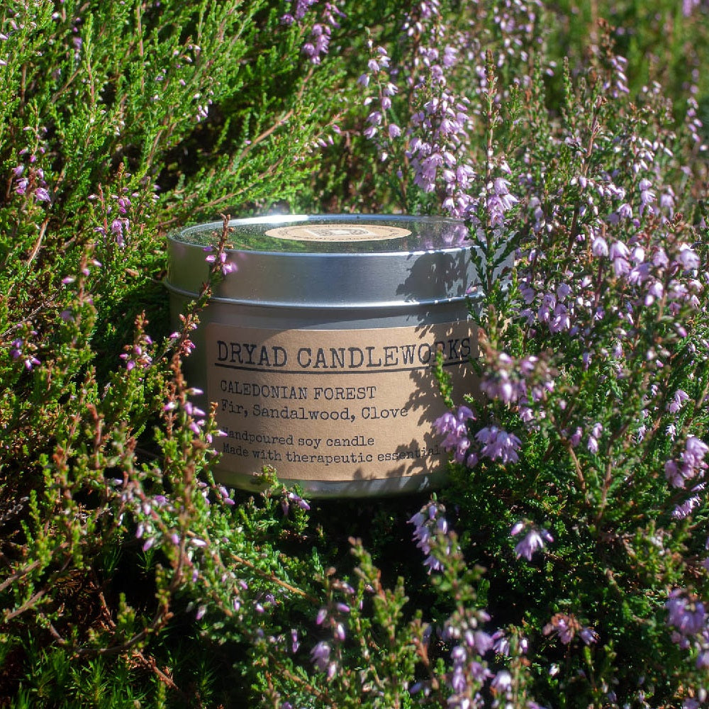 Caledonian Forest Candle 300ml