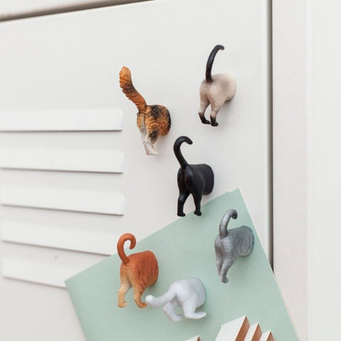 Cat Butt Magnets Set Of 6