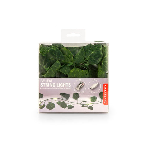 Cat Butt Magnets Set Of 6