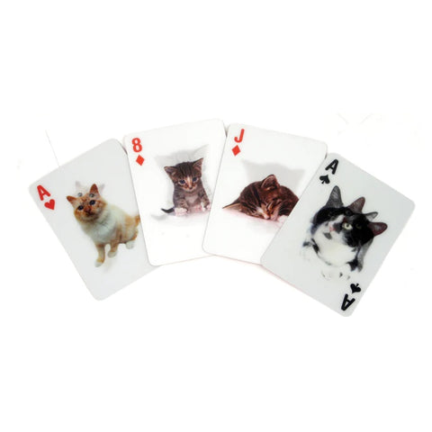 3D Cat playing Cards