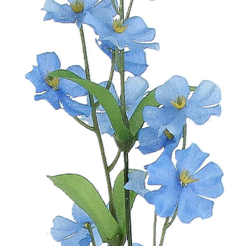 Forget-Me-Not Spray