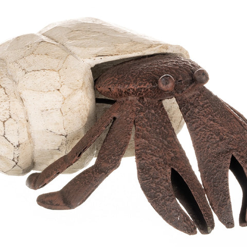 Henry Hermit Crab