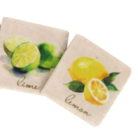 Lemon and Lime Coasters - Pack of 4