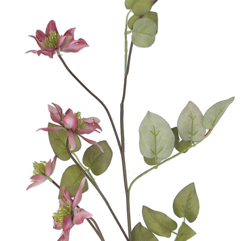 Dark Pink Flower & Leaf Branch