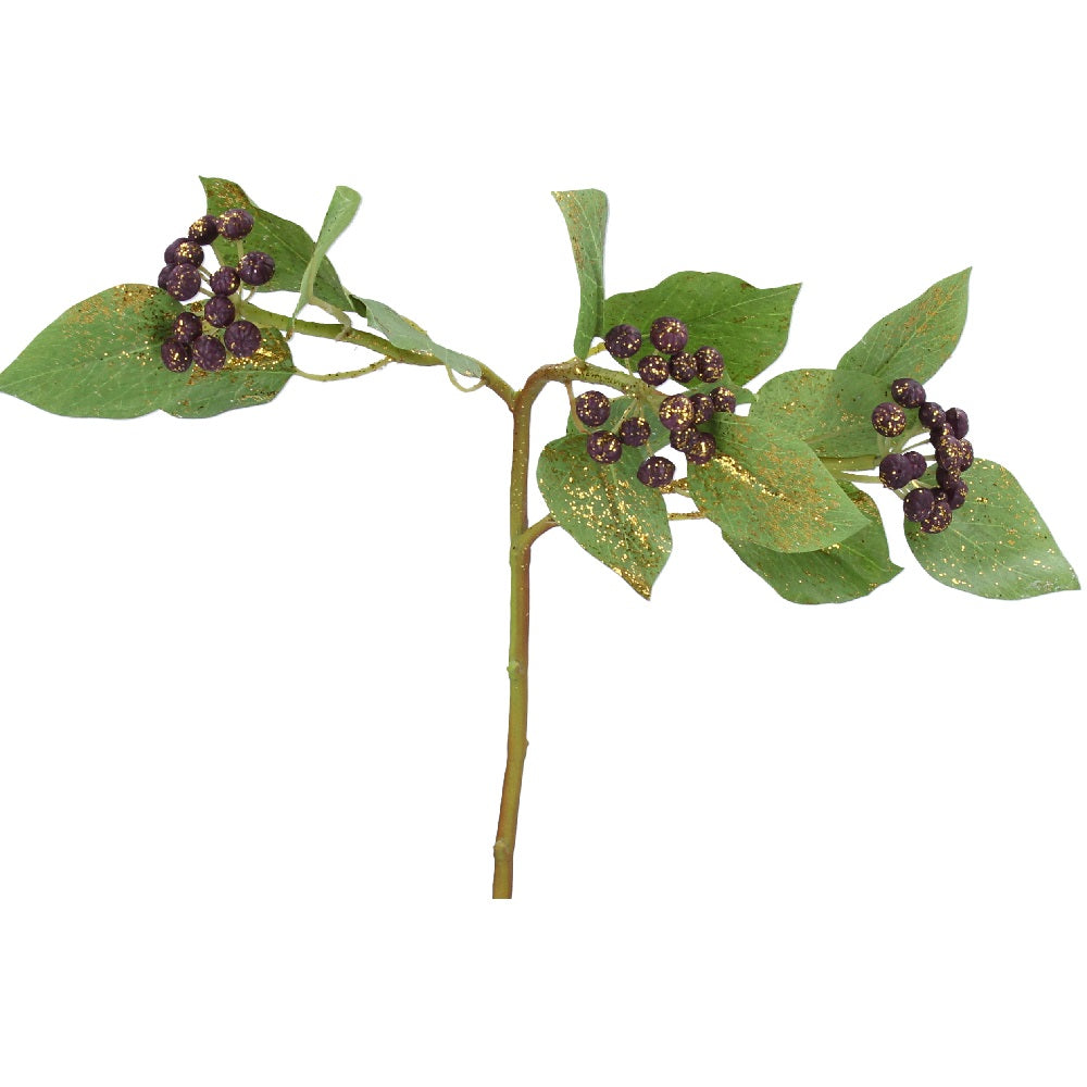 Purple Berry and Leaf Stem