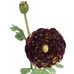 Purple Ranunculas Stem