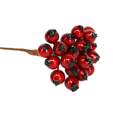 Red Holly Berry Bunch