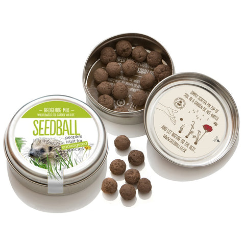 Seedball Hedgehog Tin