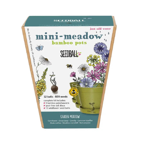 Seedball Mini-Meadow Garden Meadow