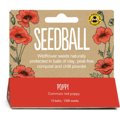 Seedball Poppy Tube
