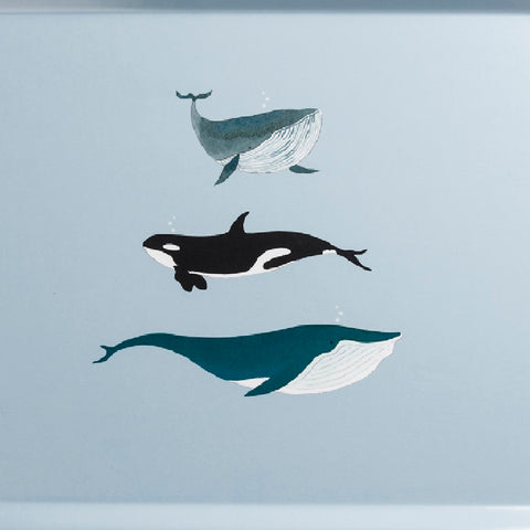 Sophie Allport Whales Printed Tray - Large