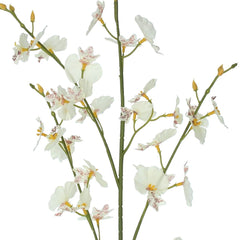 White Dancing Ladies Spray